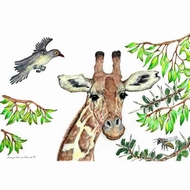 Ansichtkaart 1.25 Giraffe - 10 stuks