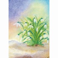Oliepastelkaart Sneeuwklokje (groot) per 10 stuks